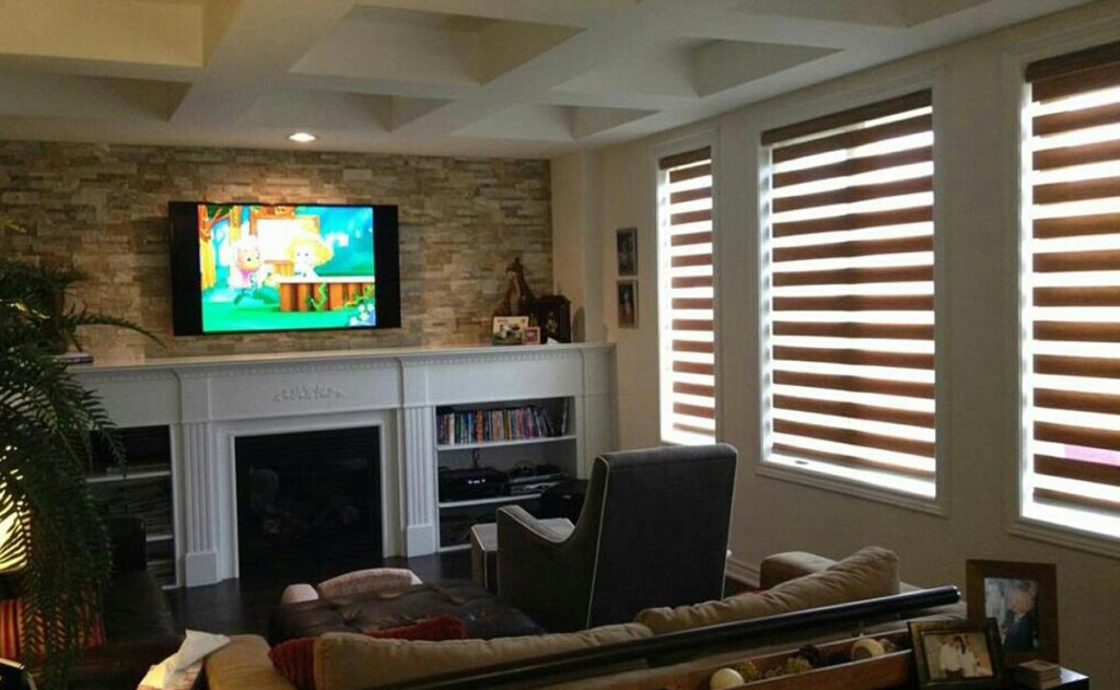 Living room with motorized zebra blinds in Toronto and Southern Ontario.