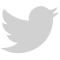 twitter-icon-gray