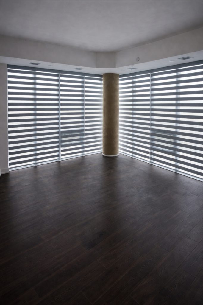 Zebra Blinds that provide modern style, flexible privacy, and precise control over natural light.