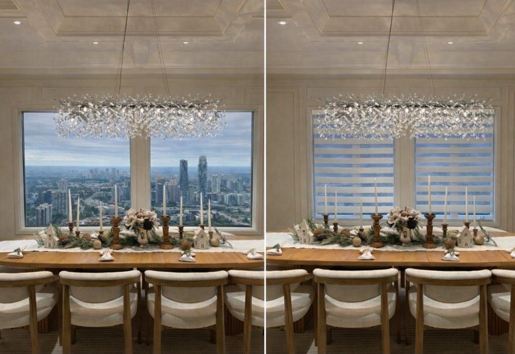 Premium Zebra Blinds Dual Layered